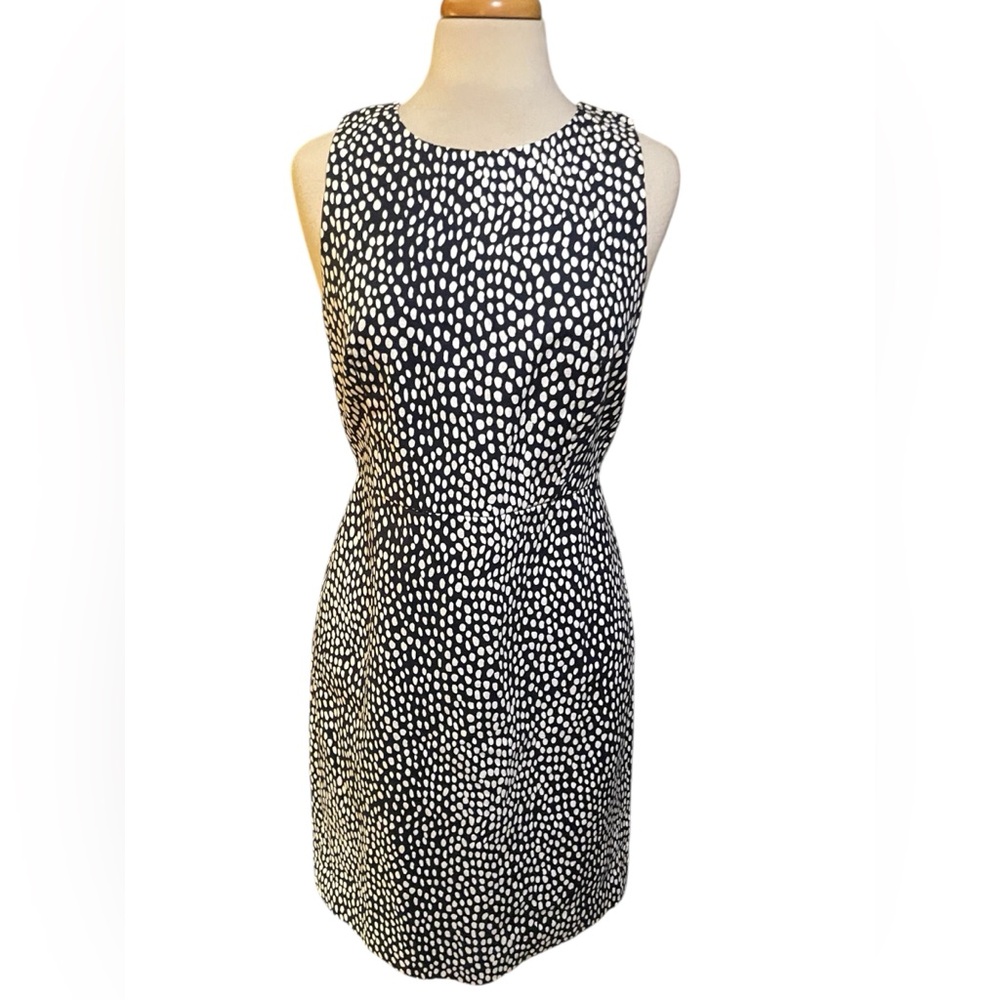 J. Crew Navy and White Patterned Mini Dress